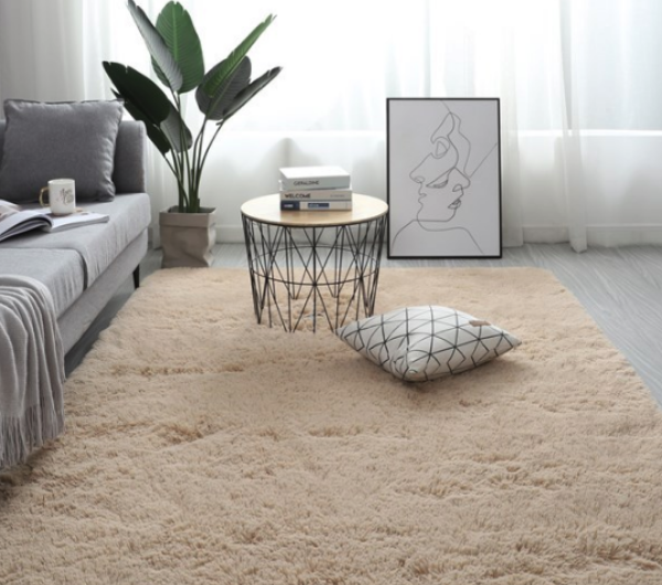 Pourquoi le nettoyage des tapis/moquettes est important ?